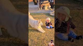 The child was suddenly surprised to see the dog, First he laughed and then started crying.#shorts