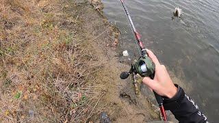 Fall Bass Fishing - Catching GIANT Fish ALL DAY