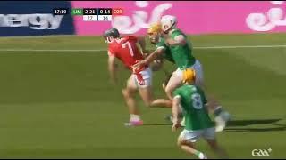 SEAMUS HARNEDY + NIALL O'LEARY PREDICTABLY THE 2 CORK PLAYERS THAT TOOK THE FIGHT TO LIMERICK