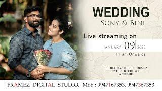 Wedding Ceremony Live Streaming of Sony with Bini