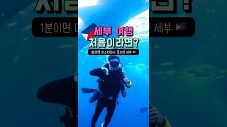 세부 여행 처음이라면? 1분만에 마스터하기 