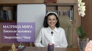 Матрица мира  Биополе человека и энергетика 7 Чакр