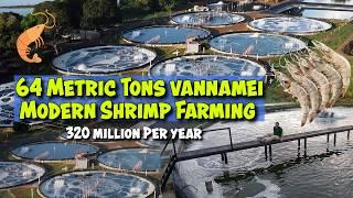 Modern Shrimp Farming, 65 Metric Tons - 320 Million Per Year