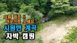 놀라지 마세요!! 깊은 산속 넓고 시원한 차박 캠핑지️청정 계곡은 보너스