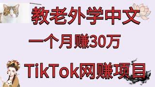 TikTok 赚钱 / 网赚/教老外学中文月赚30万/实战教学