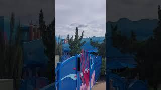 Big Blue Pool Art Of Animation Resort #artofanimation #disneyresort #bigbluepool