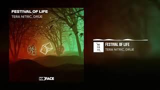 Tera Nitric, Drue - Festival of Life (No-Copyright Music)