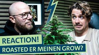 Cannabis Anbau Fail? Vince and Weed Highlight Reaction auf Gras Selbstexperiment