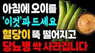 당뇨 혈당 관리를 위해 오이를 아침에 ‘이것’과 드세요! 오이의 효능, 혈당 건강에 최고인 건강한 아침 식사법과 주의할 점!