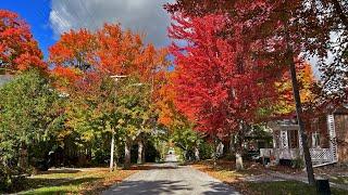 Autumn in Small Town Canada  (Ontario Fall Foliage)