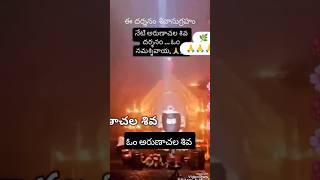 Arunachala siva