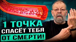 ВНИМАНИЕ !!! УЧЕНЫЕ раскрыли 3 ПРАВИЛА, чтобы ЖИТЬ ДОЛГО!