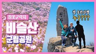 요즘 핫한 비슬산 - 진달래 명산 비슬산에 힐링 등산가요! (With.헬프님)