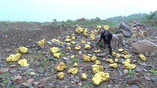 A simple device with which you will get kilograms of gold