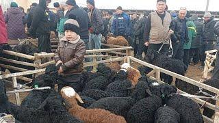 Beshariq qõy va echki bozori bugungi narhlar bilan tanishing 2.03.2025yil