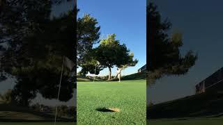 B***h.. I’m stylish! #golf #shorts #golfcourse #golfer #golfing #golflife