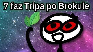 7 faz tripa po  MAGICZNYM BROKULE 