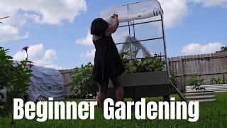 Best Raised Planter for Beginner Gardeners, EZ Cube Planter plus  Cover system