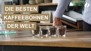 Die besten Kaffeebohnen der Welt - Worauf kommt es wirklich an? | roastmarket