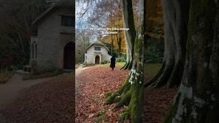 POV: you live in a fairytale GOTHIC COTTAGE in the woods 🪵 #fairytale  #cottagecore #stourhead