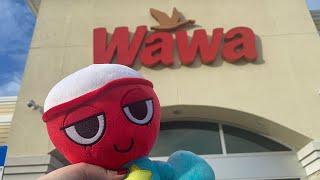 Gigi goes to Wawa with me