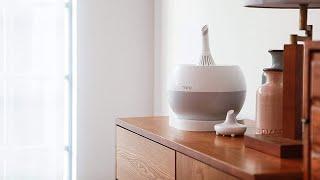 Miro NR MAX Humidifier Review: Ultimate Solution for Dry Air?