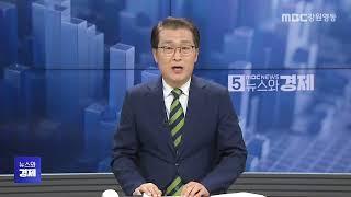 MBC강원영동 뉴스와경제 20241120