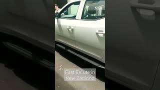 first EV ute in New Zealand #ldv #electricvehicle