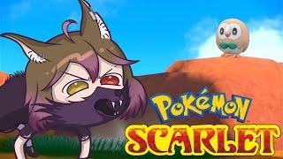 [Pokémon Scarlet] I am back for this bird #TailonLive