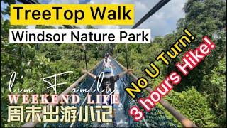 TreeTop Walk | 3 Hours Hike! | Windsor Nature Park to TreeTop Walk | 4K #treetopwalk #nparks #asmr