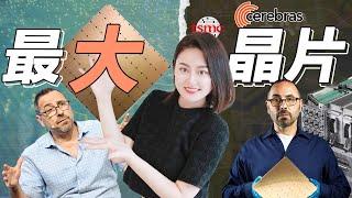 [半導體] 台積電助力世界最大AI晶片，Nvidia霸主地位岌岌可危？#Cerebras