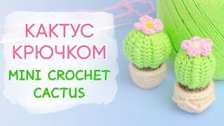 Цветущий кактус крючком | Crochet Cactus Free Pattern