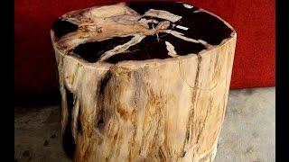 Petrified Wood Stools on Sale