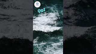  Science Quiz | Quizzy Easy