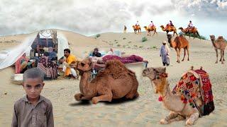 Desert Woman Morning Routine and beautiful view camel milk and healthy animal desert living people