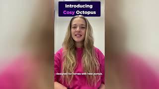 Cosy Octopus | Smart tariffs explained
