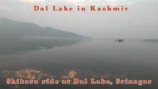 Dal Lake in Kashmir | Dal Lake Shikara | Srinagar