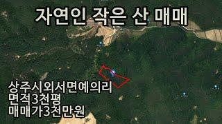 (230804-1) 작은산 3천평 3천만원. 자연인산 등 용도.농림지역 보전관리지역 혼재/ 경북 상주시 외서면 예의리