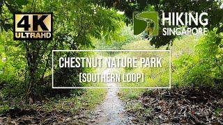 Chestnut Nature Park (Southern Loop) - Hiking Singapore [4K] [HDR]