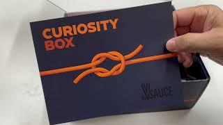 New Curiosity Box! August 2024 - Is it better now?? #ad