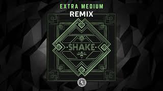 The Turner Brothers - Shake - Extra Medium Remix