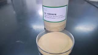 Bacillus subtilis Probiotics Factory