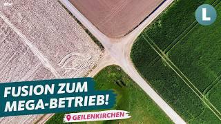 Farmers share 800 hectares and fleet | WDR Lokalzeit Land.Schafft.