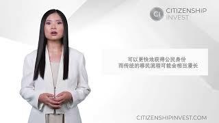 什么是投资入籍？