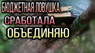 Роеловство . Бюджетная ловушка сработала . Объединение через газету .