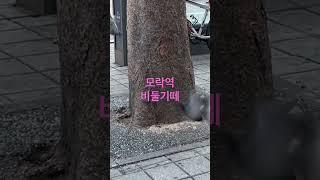 #구독 #방근숙찬양tv #드림찬양선교방송 #유튜브방송
