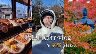 京都VLOG｜去宇治 看夜枫 东福寺的通天桥 清水寺的傍晚 还有哲学之路的小鸭子｜28岁 正是喜欢和阳光玩耍的年纪...