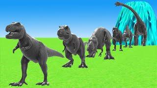 Paint Animals T-rex Carnivores & Herbivores Dinosaurs Size Comparison 3D Fountain Crossing Cartoon