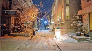 [4K] Snowy Apgujeong Streets 7km Night Exploring Seoul 서울 눈오는 압구정 골목길과 도산공원 밤산책