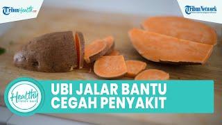 Manfaat Konsumsi Ubi Jalar Rebus Dapat Kurangi Penyakit Berbahaya: Cegah Kanker & Bagus untuk Otak